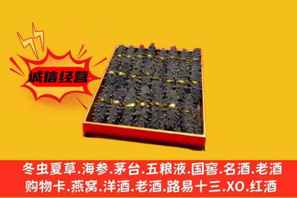 新市区回收海参